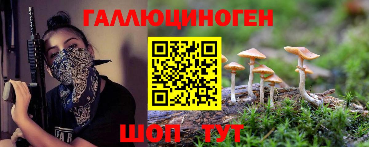 Галлюциногенные грибы Psilocybine cubensis Киреевск