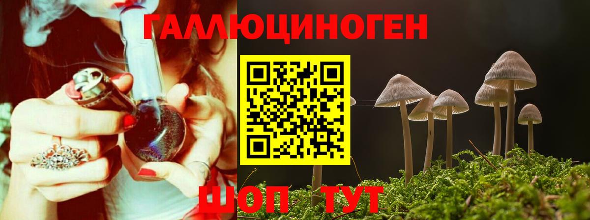 Киреевск  Галлюциногенные грибы MAGIC MUSHROOMS  Вход с VPN 